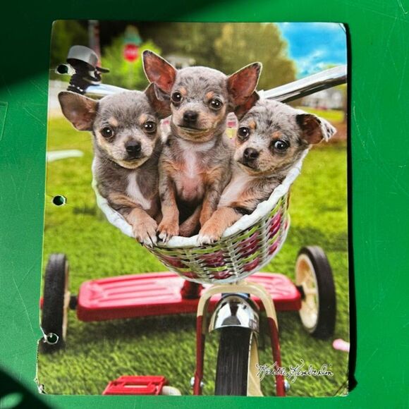 Lisa Frank Hunter Leopard Pocket Folder 2020 Edition Puppy Folders (Set of Two) - Picture 2 of 7